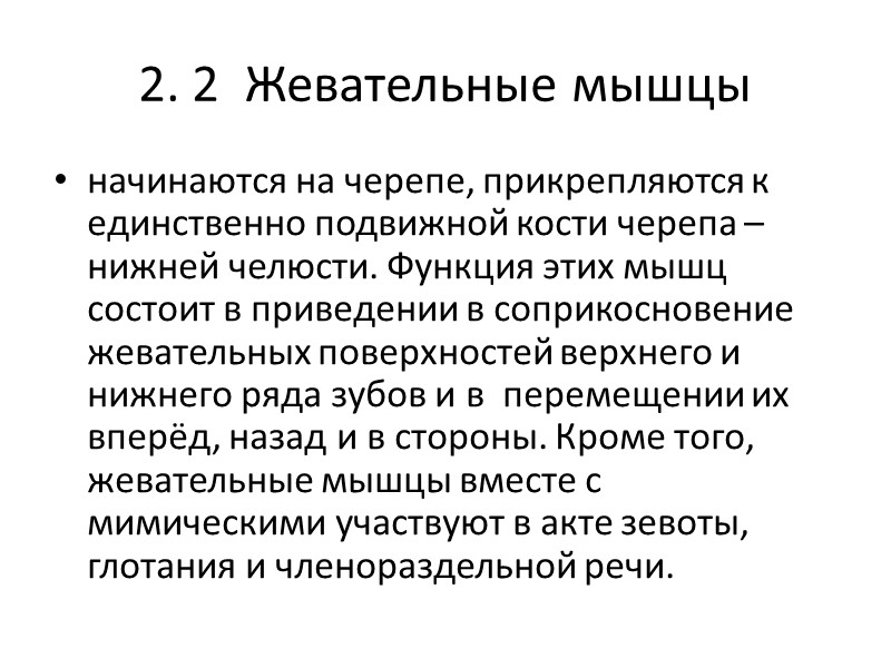 2. 2  Жевательные мышцы начинаются на черепе, прикрепляются к единственно подвижной кости черепа